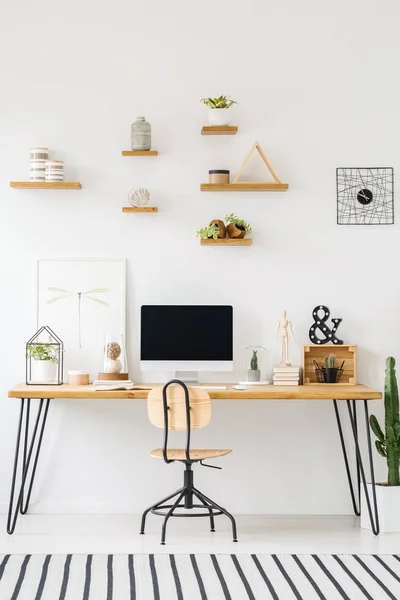 Estantes Madera Con Plantas Macetas Una Pared Blanca Por Encima —  Fotos de Stock