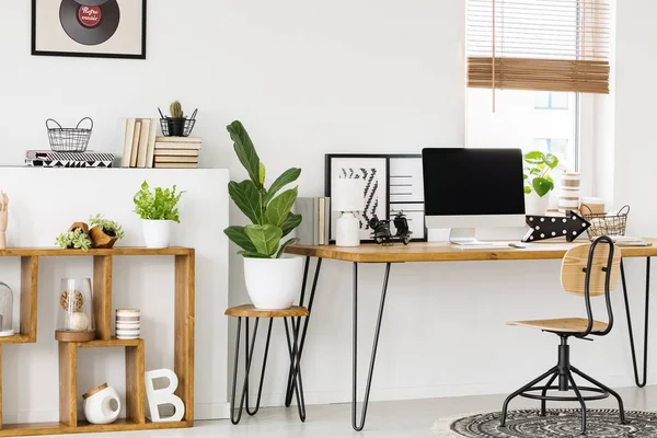 Pflanze Auf Hocker Neben Holztisch Mit Desktop Computer Weißem Arbeitsraum — Stockfoto