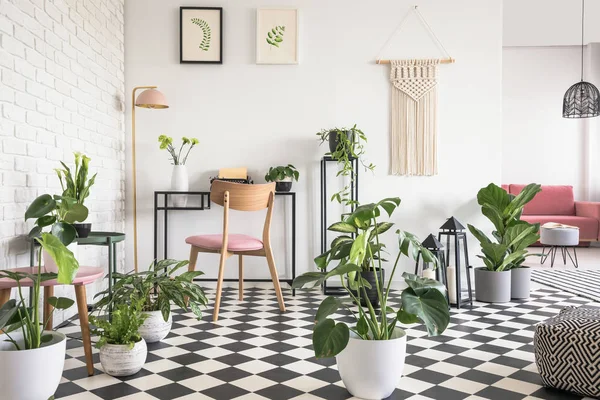 Botanical Living Room Interior Checkered Floor Chair Desk Graphics Decorations — Stock Photo, Image