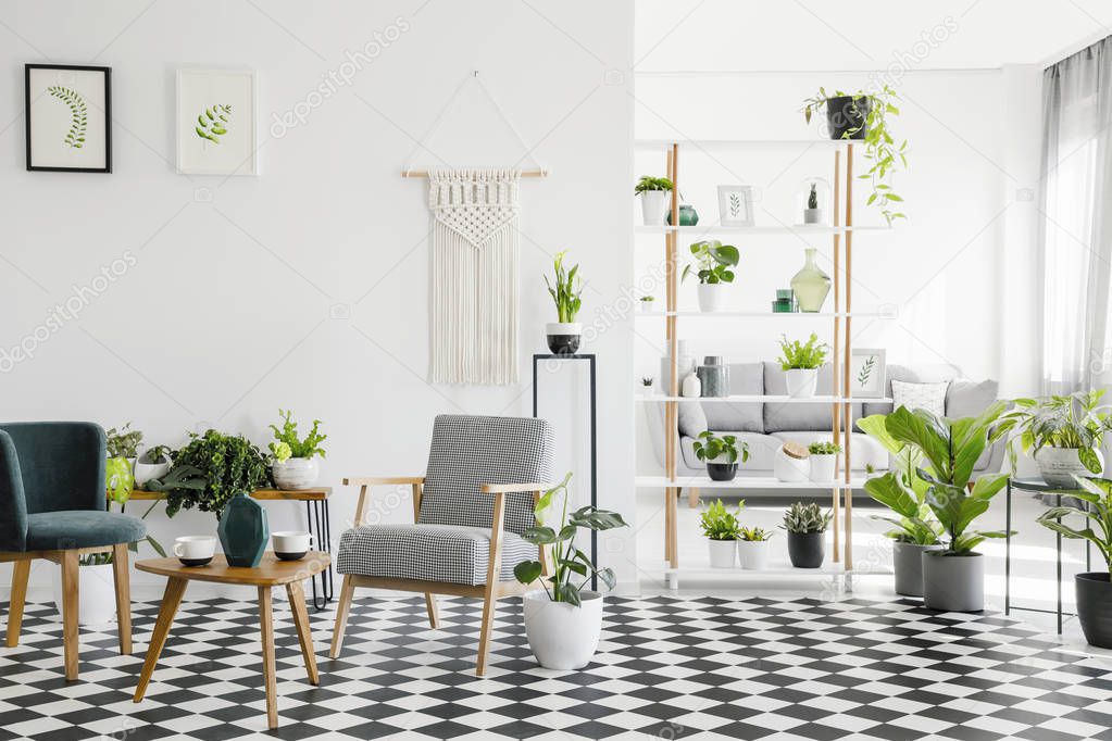 Wooden table between armchairs on checkered floor in living room interior with plants and posters. Real photo