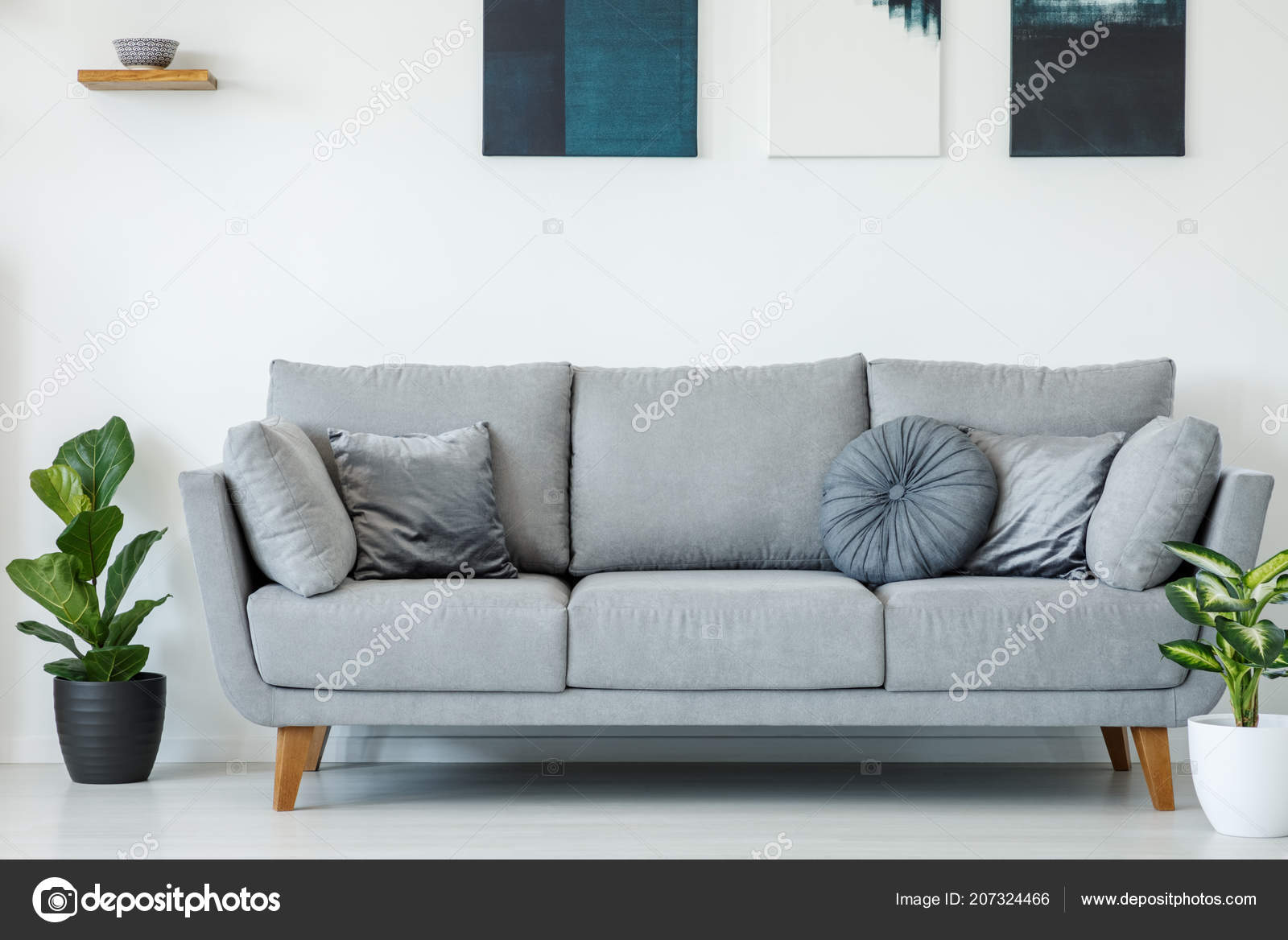 Comfy Grey Sofa Decorated Pillows Plants White Wall Paintings