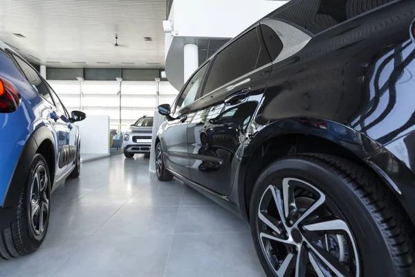 Baixo Ângulo Carros Caros Loja Luxo Com Veículos Para Venda — Fotografia de Stock