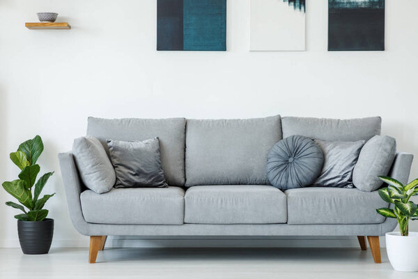 Comfy, grey sofa decorated with pillows between plants against white wall with paintings in living room interior
