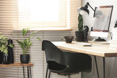 Ev ofis oturma odası iç taze bitkiler ve pencere panjur ile köşede close-up ile gerçek fotoğraf