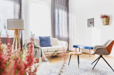 Gri koltuk ve oturma odası iç heather ile mavi yastık ile bej kanepe