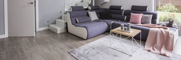 Real Photo Grey Scandinavian Style Living Room Interior Corner Couch — Stock Photo, Image