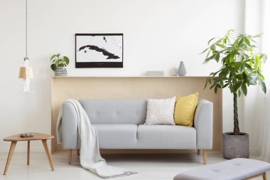 Lounge yastıkları ile gri ve beyaz salon iç taze bitki, harita poster ve ahşap sehpa ile gerçek fotoğraf ayakta paket