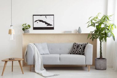Bitki ve aydınlık oturma odası iç posteri ile ahşap masa arasındaki gri kanepe. Gerçek fotoğraf