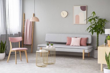 Salon, kirli pembe yastık, basit poster, pembe sandalye, kaktüsler ile altın sehpa ve pencere perdeleri ile gerçek fotoğraf