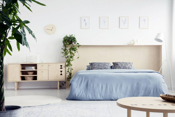 Real photo of white bedroom interior with double bed with blue sheets and box bedhead, fresh plants and cupboard with books and glass vases