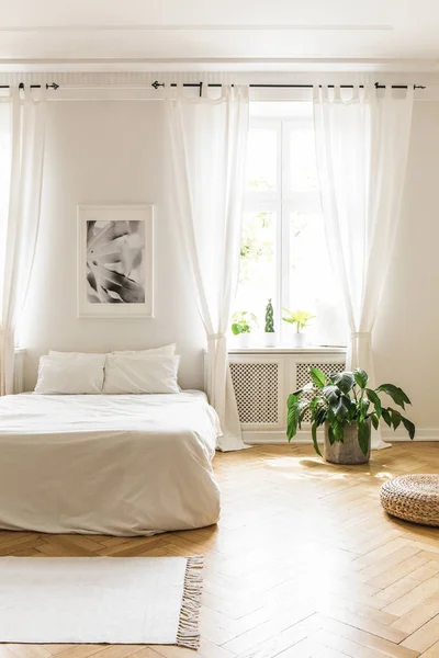 Minimalist White Hotel Bedroom Interior Comfy Double Bed Herringbone Hardwood — Stock Photo, Image