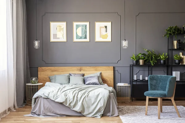 双层床 灰色床上用品和木床头板站在黑暗的卧室内与窗帘窗 墙上的金色海报与护墙板和新鲜植物放置在金属架上 — 图库照片