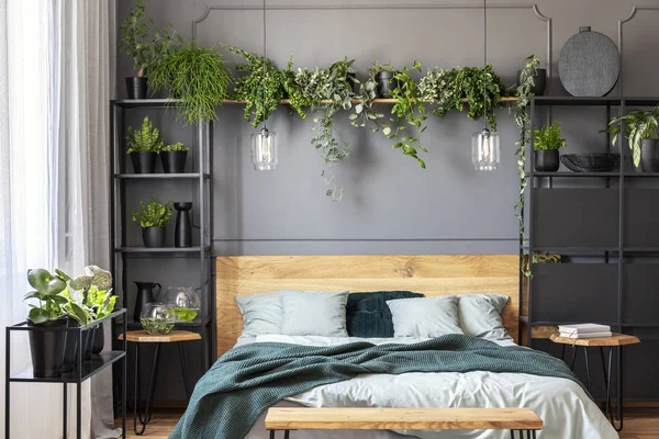 Planten Lampen Boven Houten Bed Met Groene Deken Grijs Slaapkamer — Stockfoto