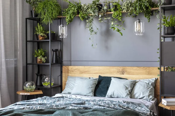 灰色枕头在木床在黑暗的卧室内部与灯和植物 真实照片 — 图库照片