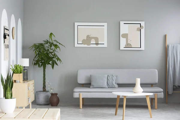 Trebord Foran Grå Sofa Enkelt Stue Med Plakater Planter Ekte – stockfoto