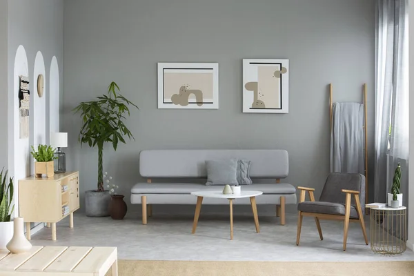 两张海报挂在墙上的灰色客厅的真实照片室内与新鲜的植物 沙发枕头和木茶几 — 图库照片