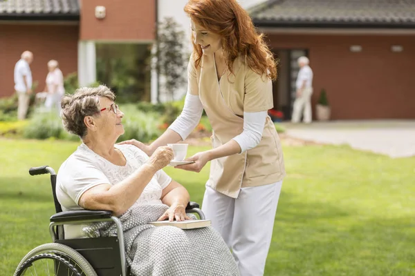 Freundliche Krankenschwester Gibt Tee Behinderte Seniorin Rollstuhl Garten — Stockfoto