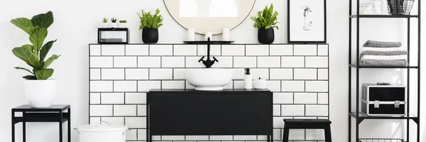 Foto Real Interior Banheiro Preto Branco Com Plantas Verdes Frescas — Fotografia de Stock