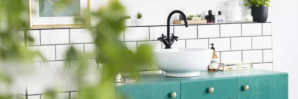 Çini Taze Bitki Yeşil Kabine Lavabo Beyaz Banyo Bulanık Plan — Stok fotoğraf