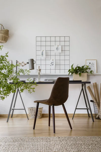 Desenhos Minimalistas Fixados Organizador Uma Parede Branca Elegante Interior Escritório — Fotografia de Stock