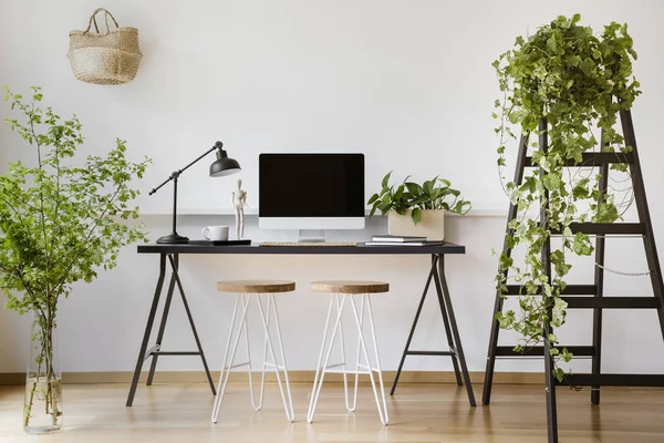 Computador Mesa Mesa Com Lâmpada Interior Freelancer Branco Com Plantas — Fotografia de Stock