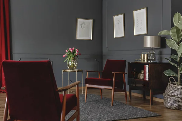 Two red armchairs standing in grey sitting room interior with minimal posters on walls with molding, wooden cupboard with lamp and decor and gold metal table with fresh tulips in vase