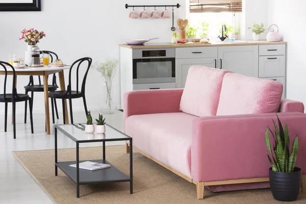 Plante Côté Canapé Rose Dans Intérieur Appartement Avec Des Chaises — Photo