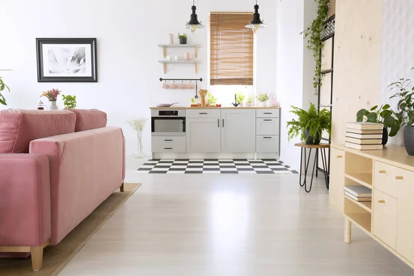 Armario Madera Sofá Rosa Interior Plano Brillante Con Cocina Americana — Foto de Stock