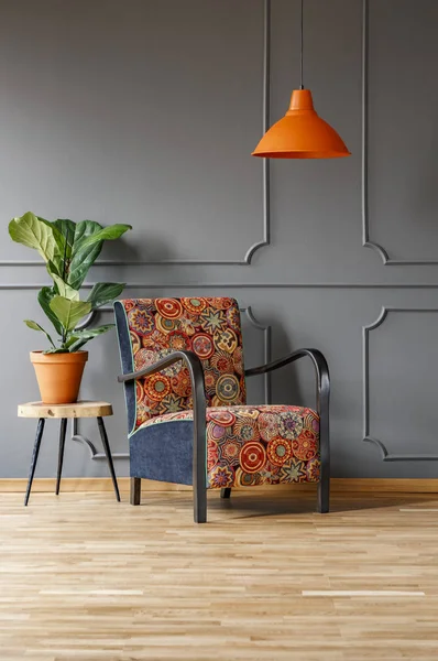 Planta Sobre Mesa Junto Sillón Estampado Bajo Lámpara Naranja Interior —  Fotos de Stock