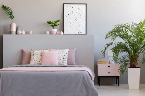 Рослина Шафа Біля Ліжка Подушками Сіро Рожевому Інтер Єрі Спальні — стокове фото