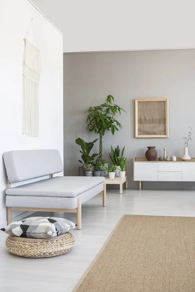 Pillow Pouf Next Grey Couch Scandi Living Room Interior Plants — Stock Photo, Image