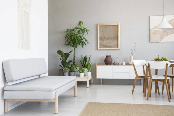 真正的照片 一个简单的 灰色的沙发站在一个自然客厅内部与粗麻布在一个框架和大量的植物 — 图库照片