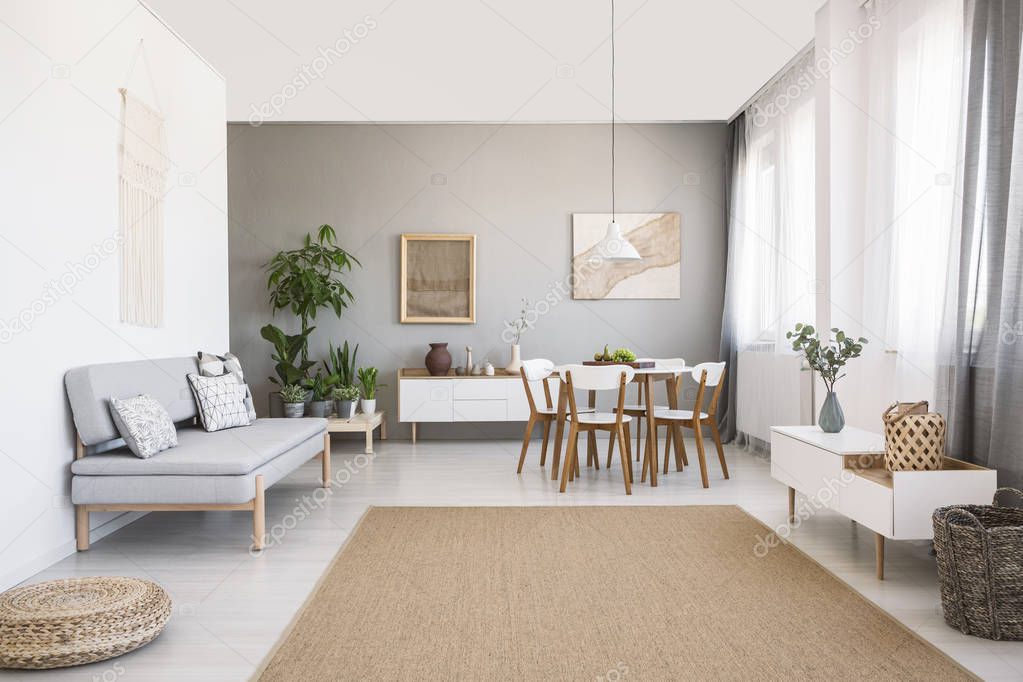 Grey sofa near white chairs at dining table in bright living room interior with brown carpet. Real photo
