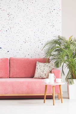 Desenli salon iç ahşap masa ile pembe kanepe yanında bitki. Gerçek fotoğraf