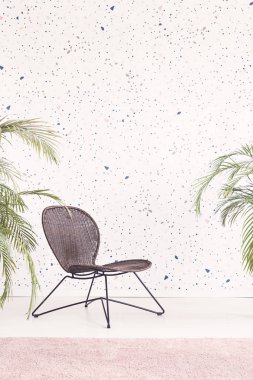 Siyah desenli duvar kağıdı, bitkiler ve pembe halı ile parlak düz iç modern sandalyede. Gerçek fotoğraf