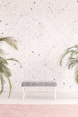 Basit, gri tezgah arasında bitkiler parlak, kadınsı iç lastrico duvara ayarla