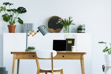 Çiçek, taze bitki, dekor ve beyaz salon iç çalışma köşe masa lambası ve mockup laptop ile birlikte kitaplarda ile duvar raf gerçek fotoğraf