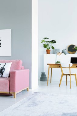 Pembe kanepeyle alan oturma odası iç açık, dizüstü bilgisayar masası tarafından zemin ve sandalye ayakta halı. Gerçek fotoğraf