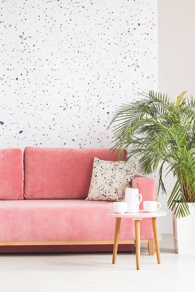 Planta Lado Sofá Rosa Sala Estar Interior Estampado Com Mesa — Fotografia de Stock