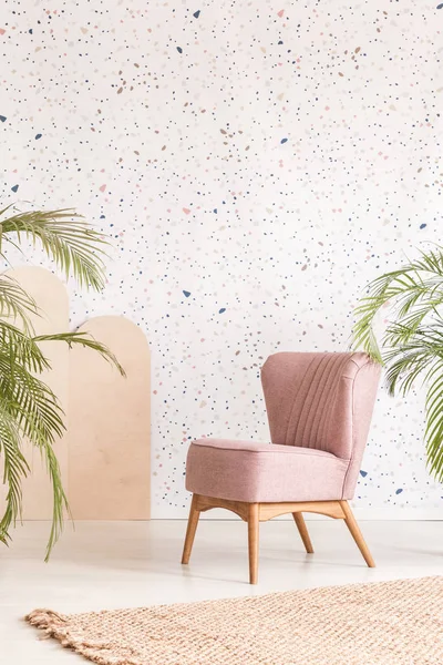 Pink Chair Rug Plants Set Dotted Wall Pastel Living Room — Stock Photo, Image