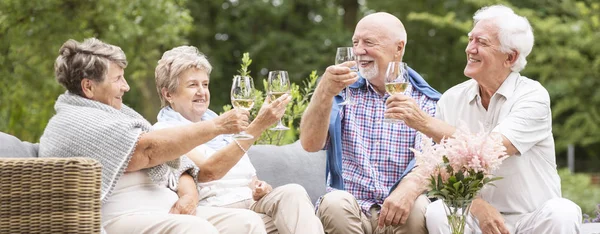 Panorama Šťastný Aktivní Senior Lidí Opékání Zahradě — Stock fotografie