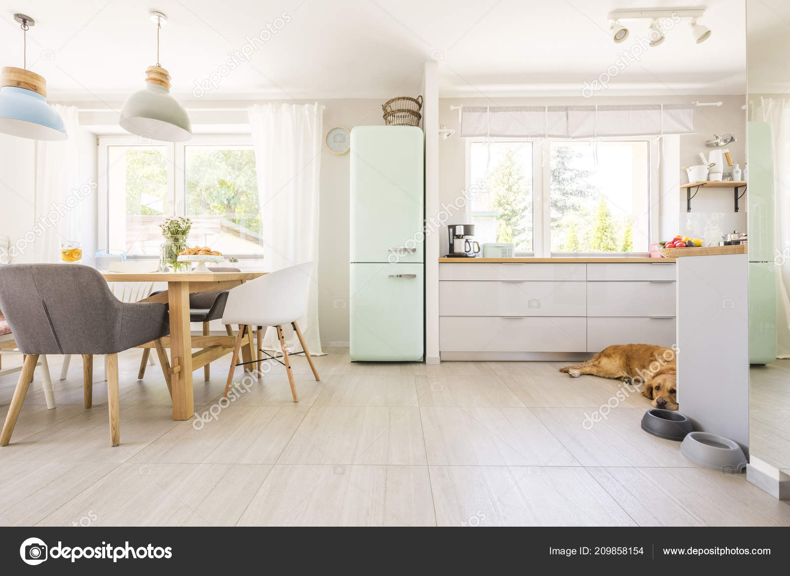 Chairs Table Lamps Bright Kitchen Interior Fridge Dog Next Cabinets Stock Photo Photographeeeu 209858154