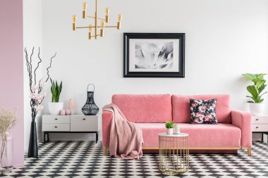Pembe battaniye kanepe beyaz salon iç bitkiler ve damalı zemin üzerinde. Gerçek fotoğraf
