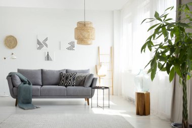 Bir rattan lamba boho oturma odası iç beyaz duvarları ve bir ağaç ile gri bir kanepe üzerinde gerçek fotoğraf