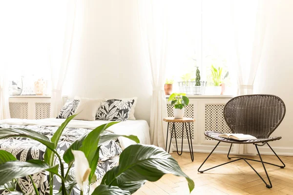 Chambre Ensoleillée Intérieure Avec Lit Une Chaise Rotin Des Plantes — Photo