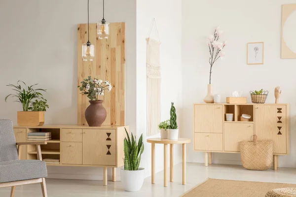 Plants Wooden Cupboard White Living Room Interior Patterned Armchair Real — Stock Photo, Image