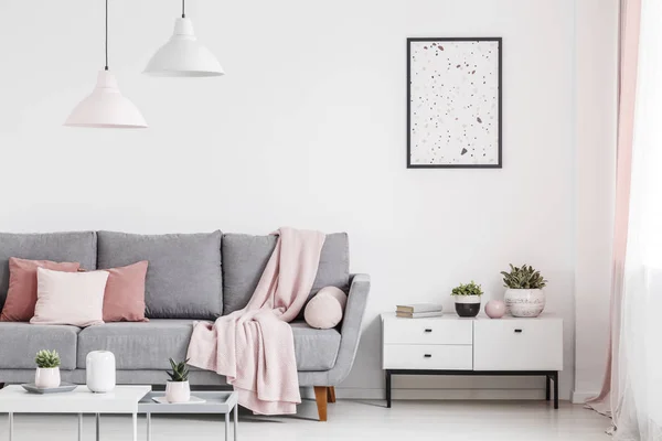 グレーのソファの上のピンクの毛布で白のフラット インテリアの植物でキャビネットの上のポスター 実際の写真 — ストック写真