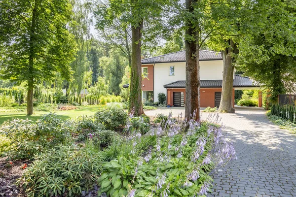 Nahaufnahme Von Büschen Neben Einer Straße Einem Haus Das Von — Stockfoto