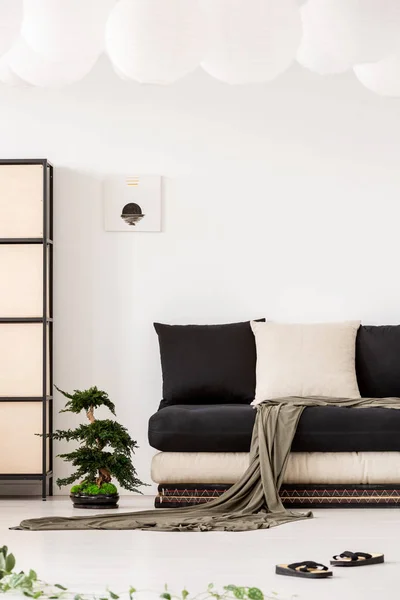 Cuscini Divano Nero Con Coperta Bianco Soggiorno Interno Con Bonsai — Foto Stock