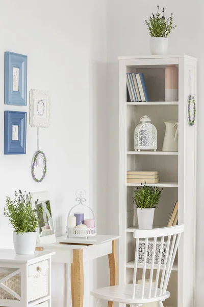 一张白色起居室的真实照片 里面有书桌 架子和植物 — 图库照片